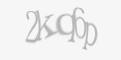 Защитный код